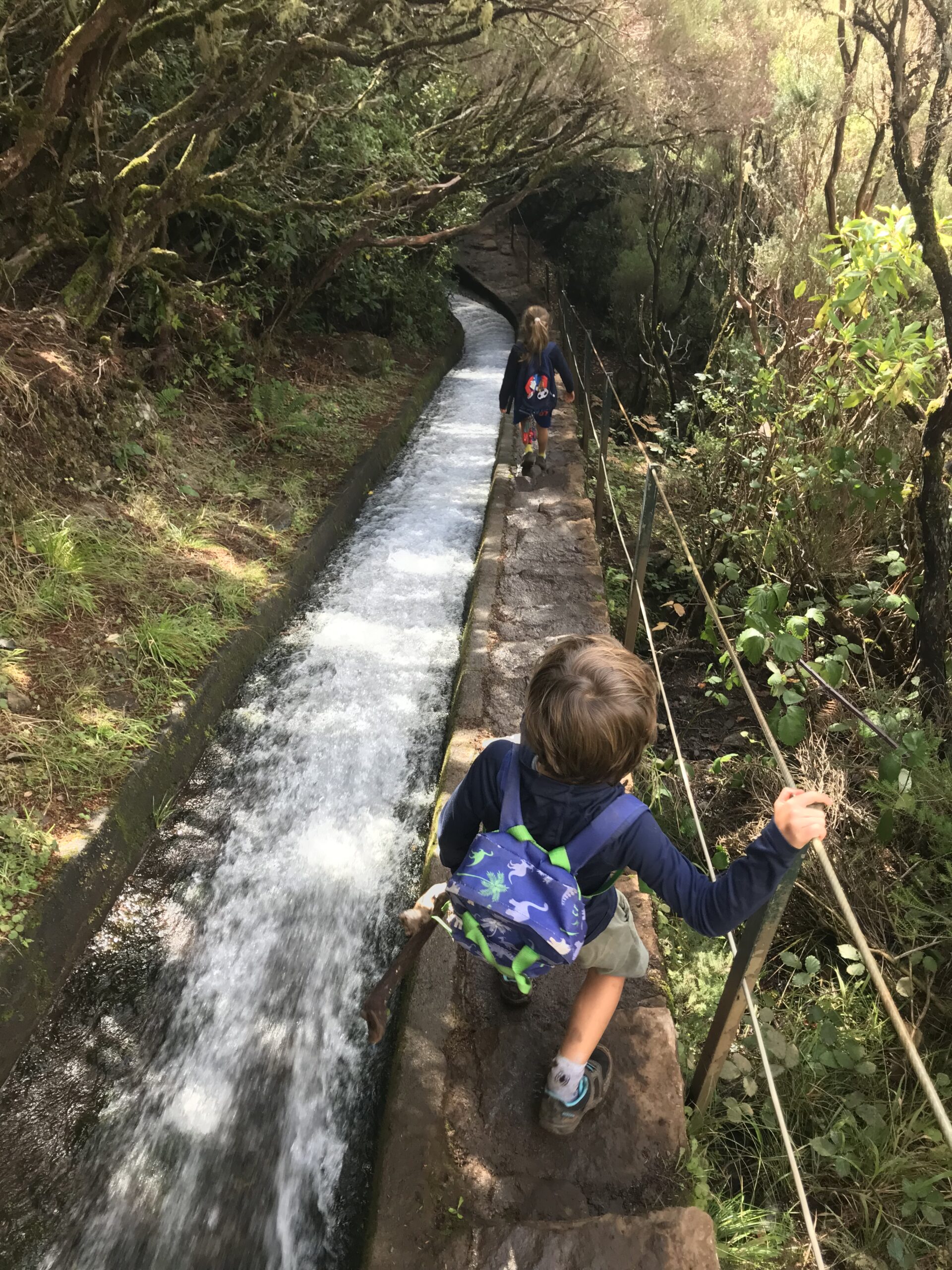levada do alecrim madeira
