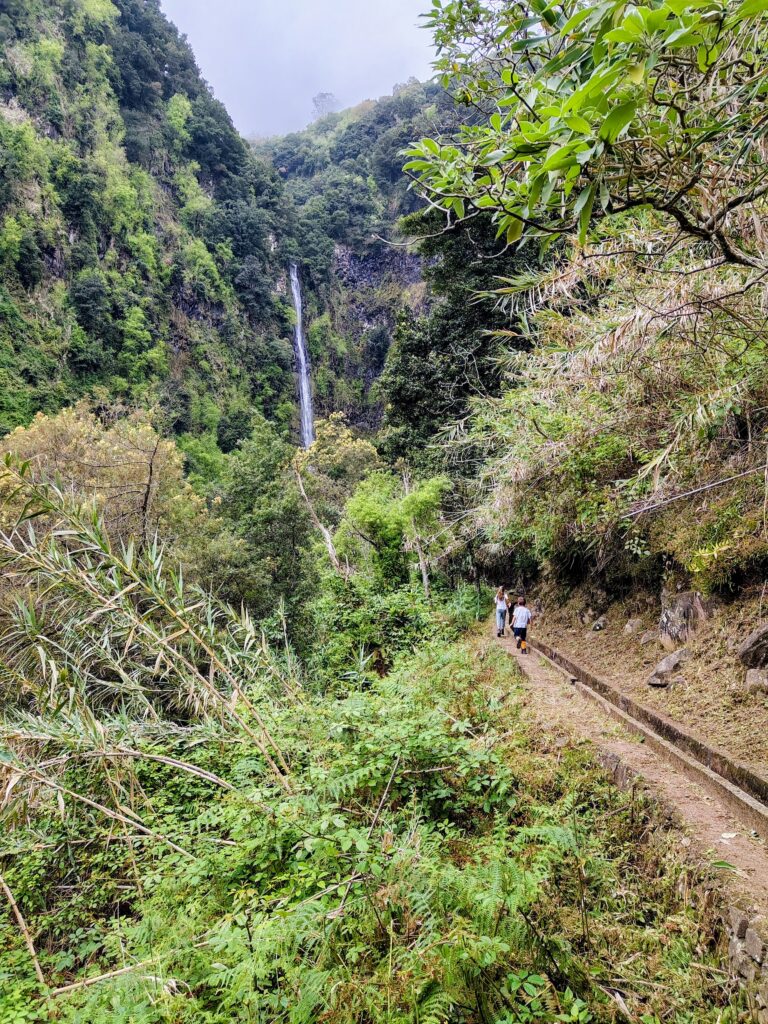 cascata agua alto madeira