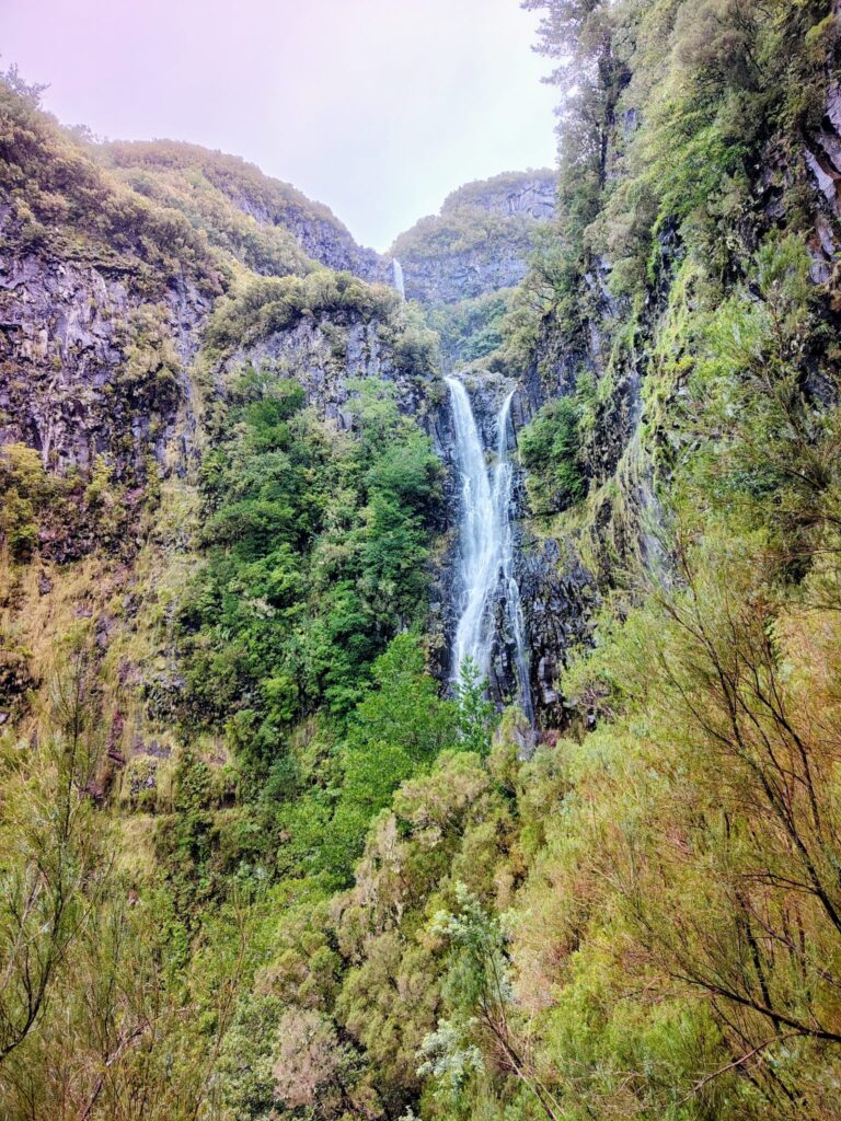 risco waterfall madeira