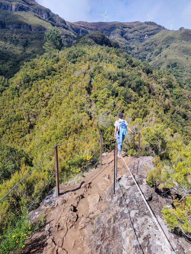 pr17 madeira