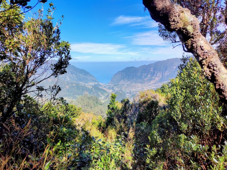pr22 madeira