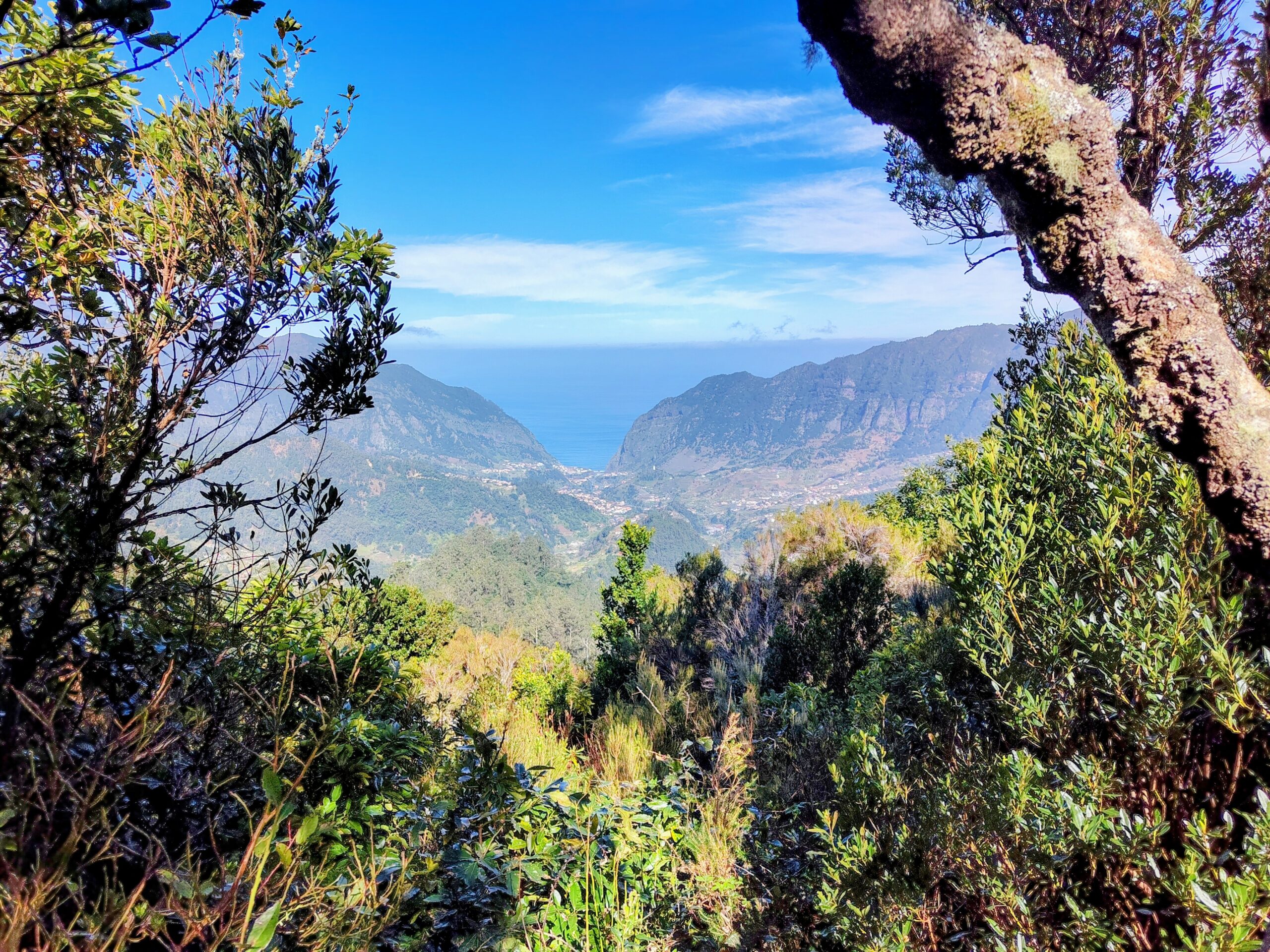 pr22 madeira