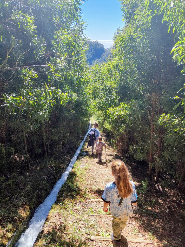 PR 4 - Levada do Barreiro