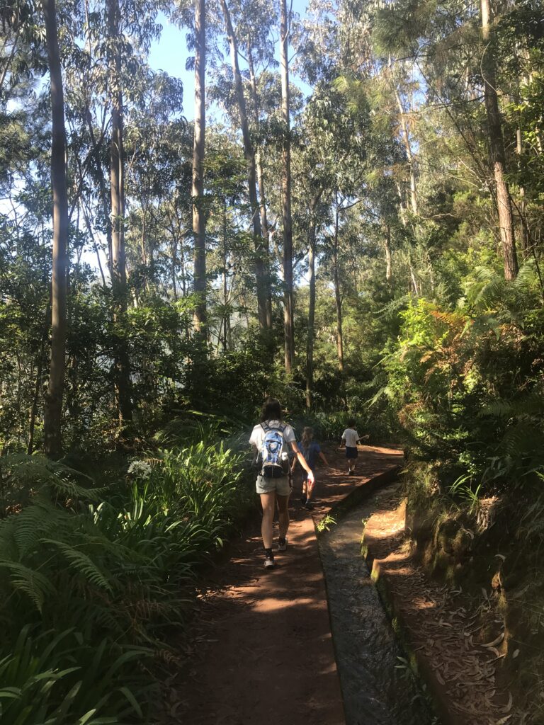 PR 18 - Levada do Rei