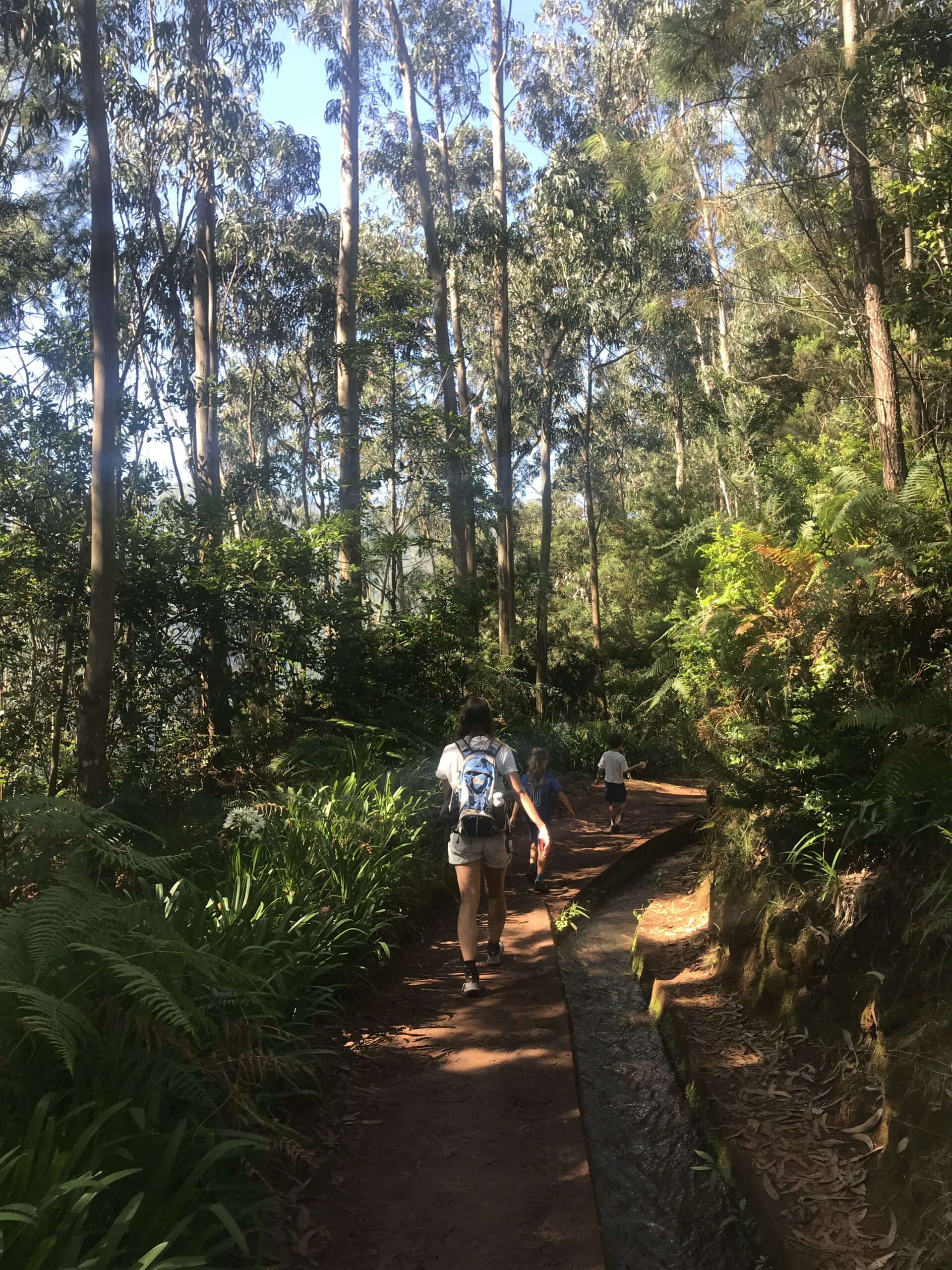 PR 18 - Levada do Rei