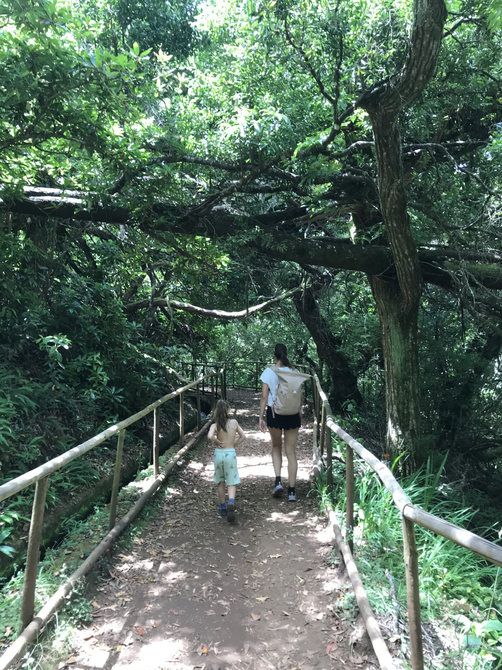 PR 9.1 - Levada do Caldeirão Verde - um caminho para todos